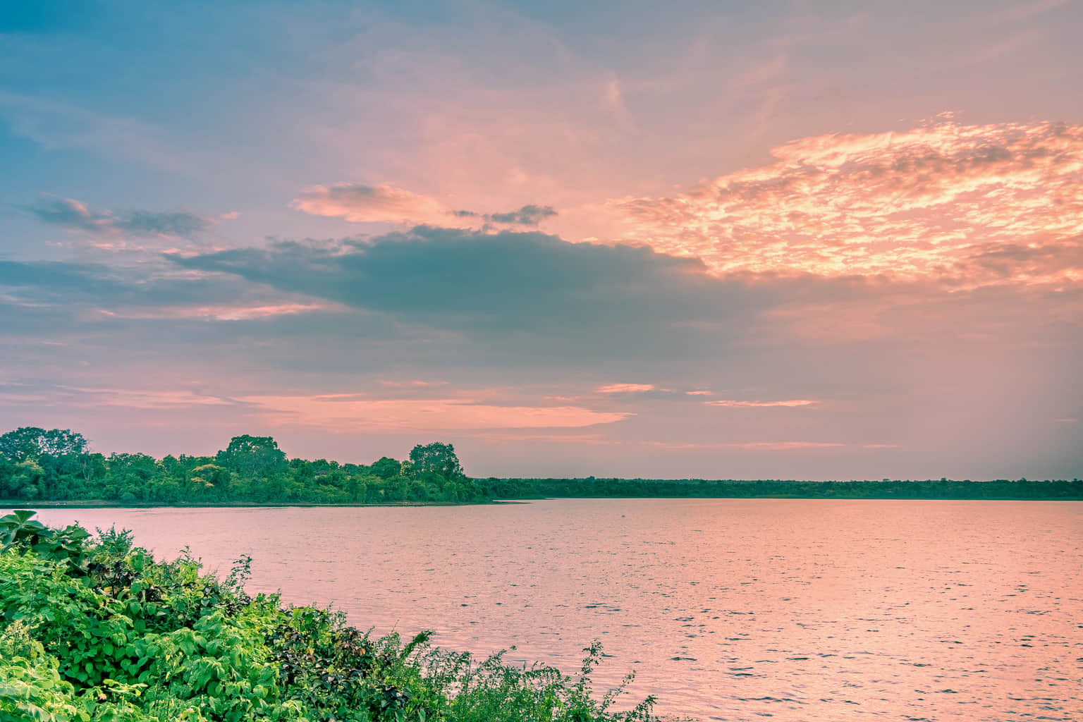 Gorewada Lake, <em>Nagpur</em>