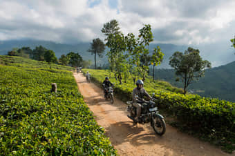 Sha Lanka Negombo Motorcycle Tour Sri Lanka