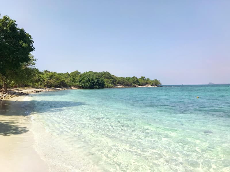 Monkey Island Tour From Pattaya with VIP Boat Trip Image