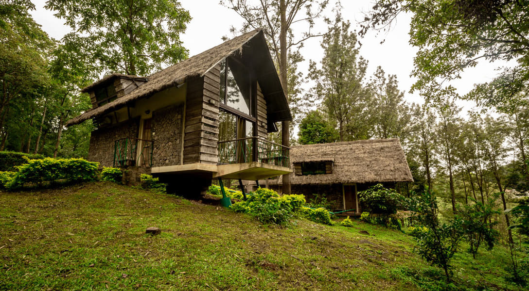 A Wooden Cottage Stay Nested In The Woods Near Mysore Image