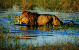 Gb58yxus7ffsqhzl9sfluv99ojnk dl.beatsnoop.com 3000 njy8mnpciw