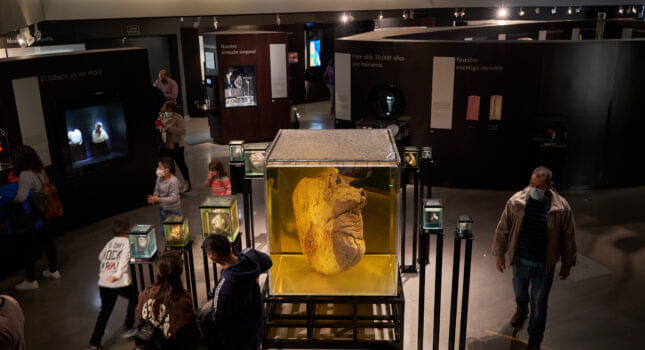 Parque de las Ciencias