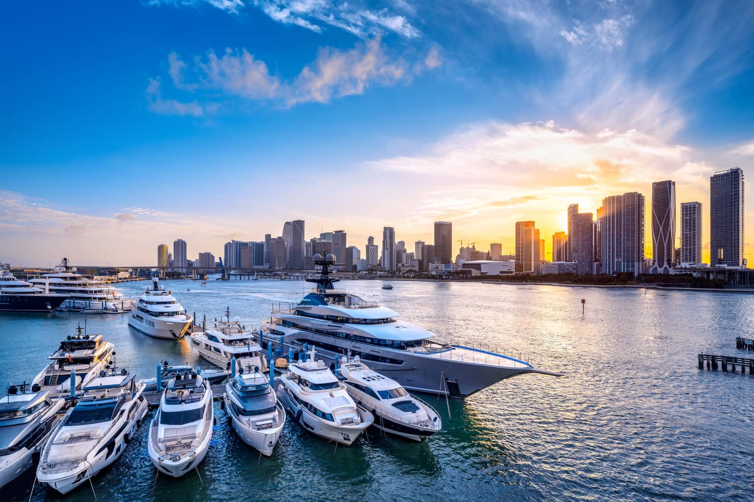 Getaway to Miami | Waves, Wildlife & Wonders