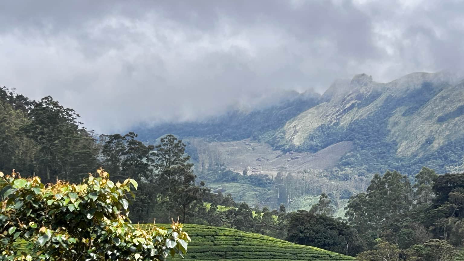 Photo from Saibal Bhowmick's trip
