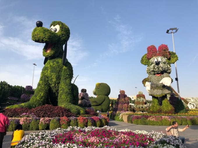 Miracle Garden Dubai Images