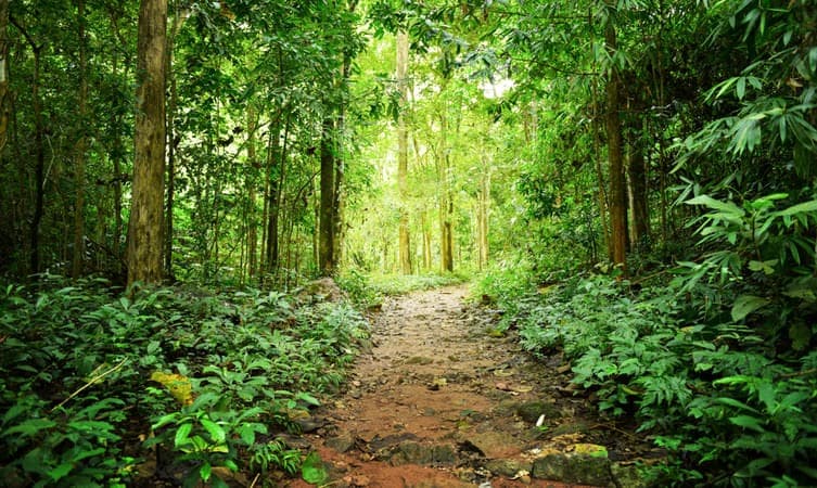 Aravalli Biodiversity Park