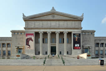Field Museum of Natural History in Chicago