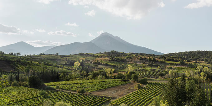 Strofilia Estate winery