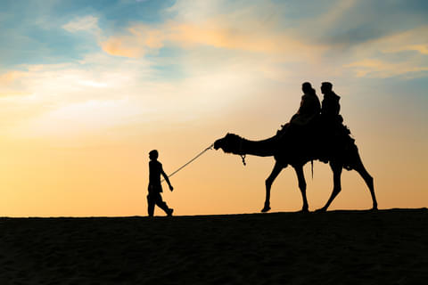Activity & SightSeeing Image