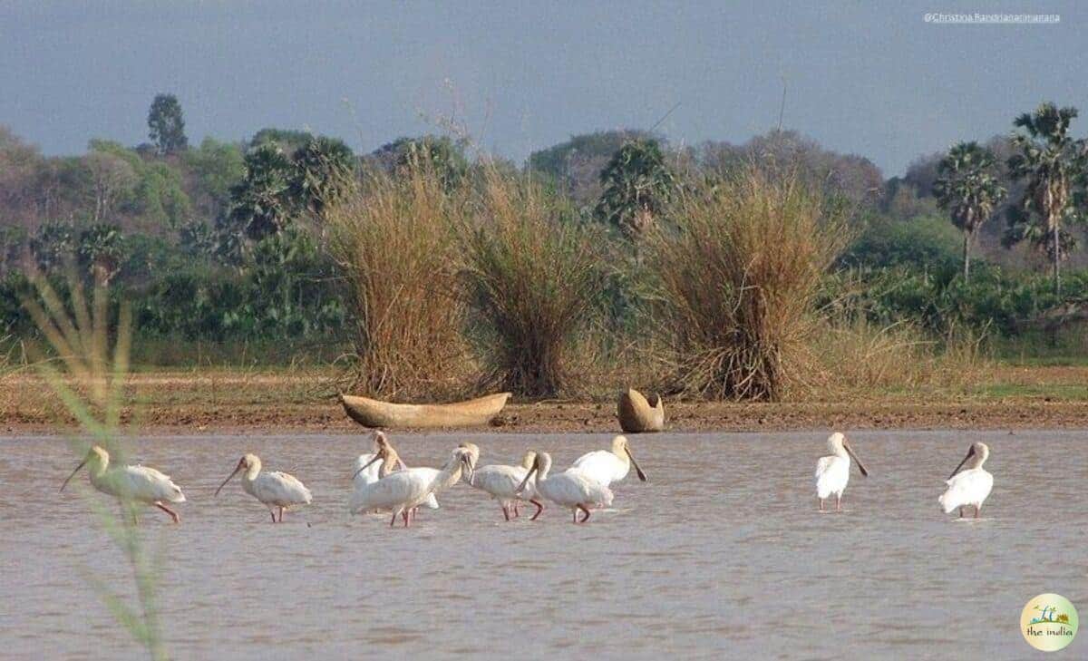 Scenic Boat Ride to the Island