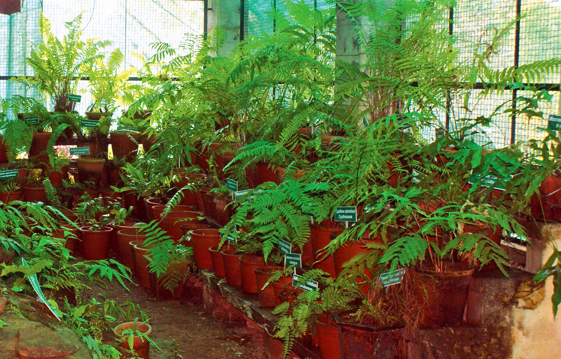 Malabar Botanical Garden And Institute For Plant Science