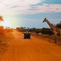 best-of-kenya-with-maasai-mara-serengeti-national-park