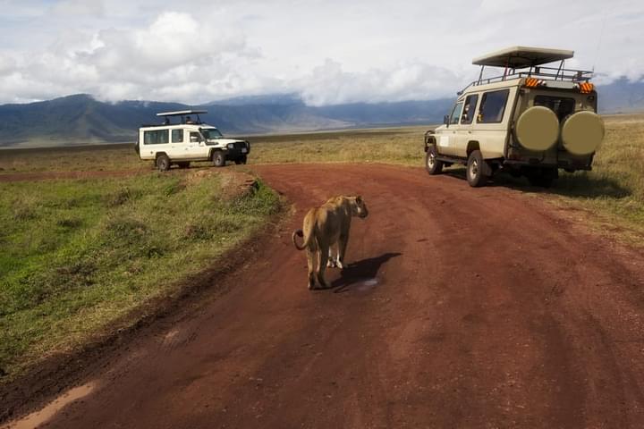Serengeti & Ngorongoro Best Luxury Safari.jpg