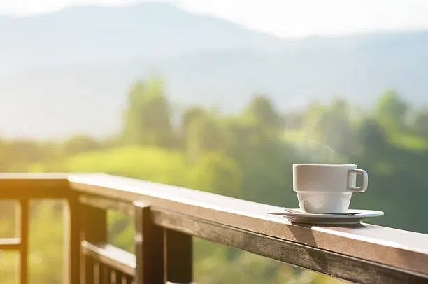 Evening Tea at a Lakeside Stall