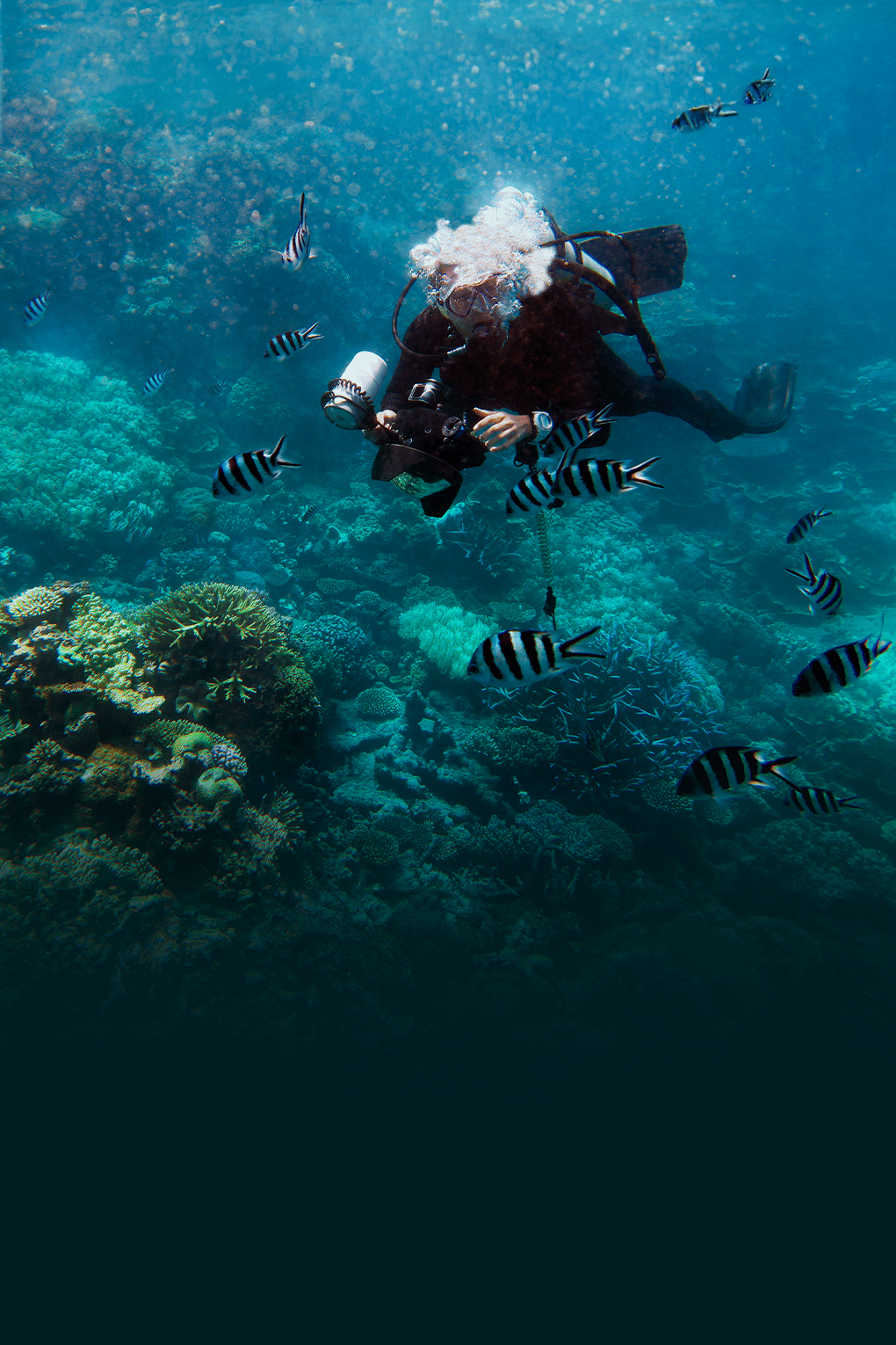 Chronicles of Australia | Passage Of Cultural Capitals and Coral Havens