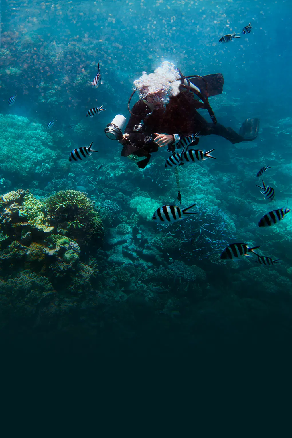 Chronicles of Australia | Passage Of Cultural Capitals and Coral Havens