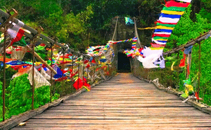 Gf7n6on44x1l7s1m22pz6kym1vjz bidyang 780