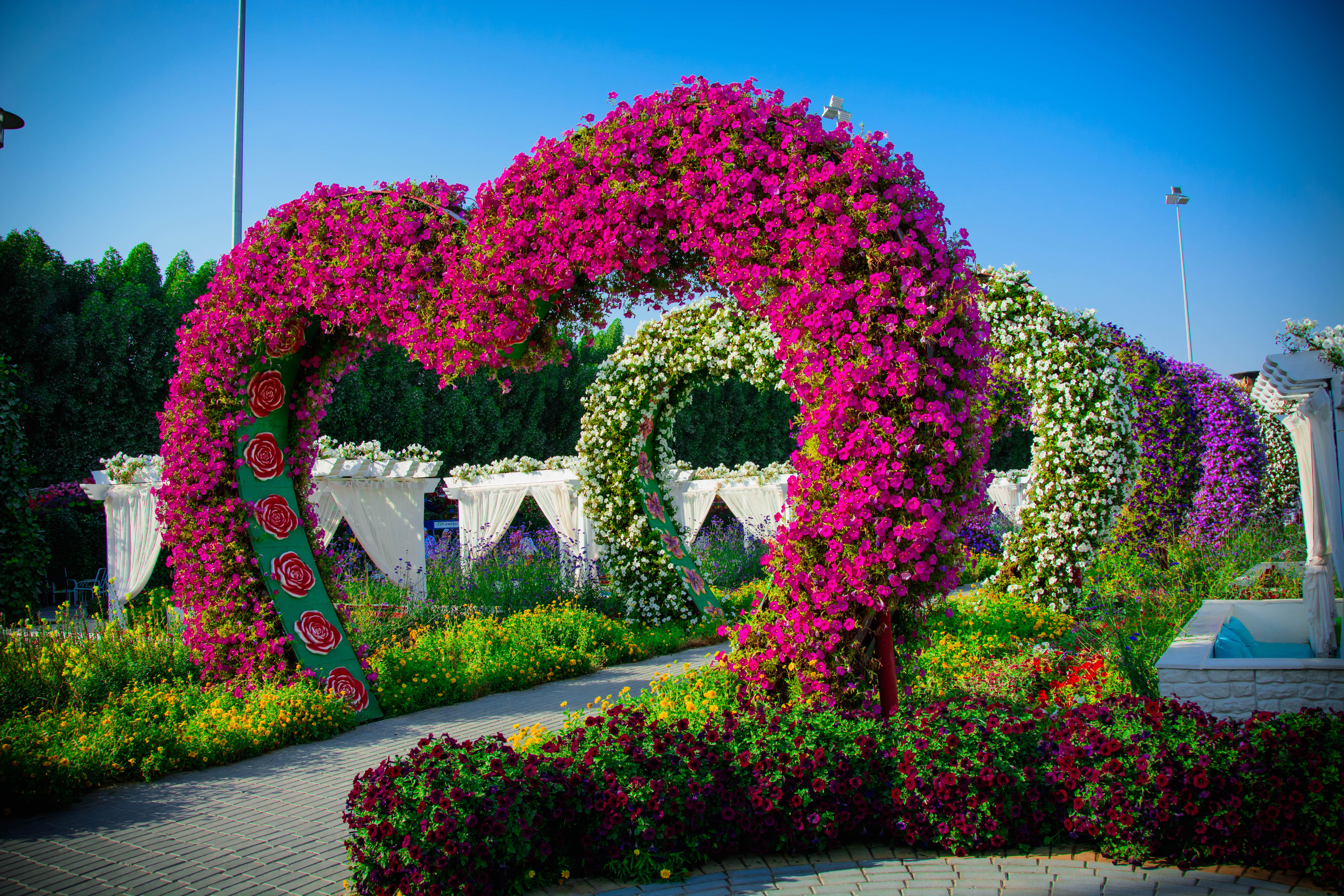 Miracle Garden Dubai Images