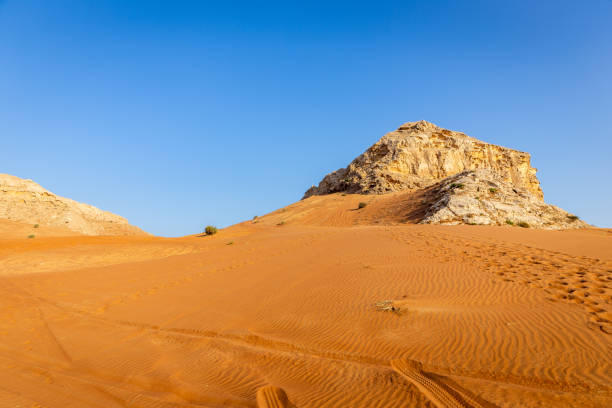 Dubai Desert Safari