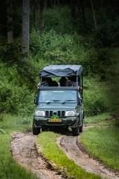 Embark on a Sunset Jeep Safari