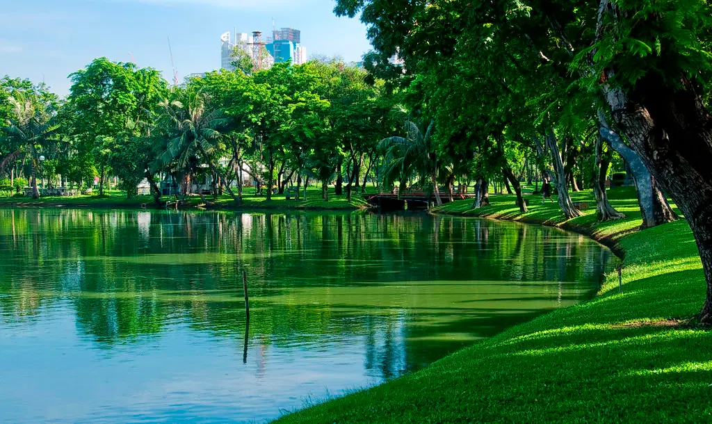 lumpini park bangkok