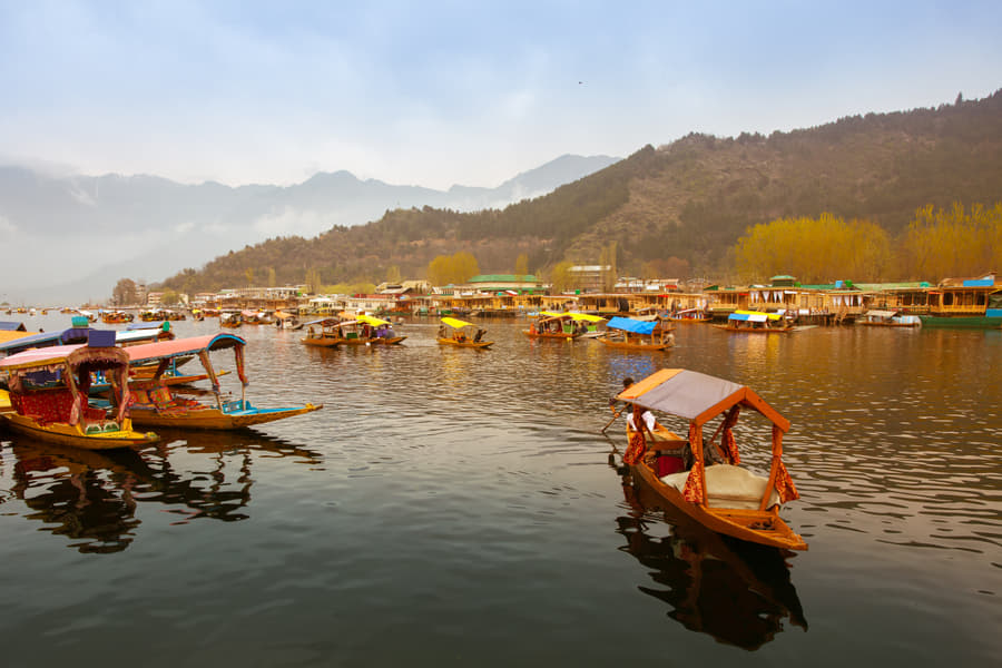 Captivating Kashmir | A Journey to the Heaven Image