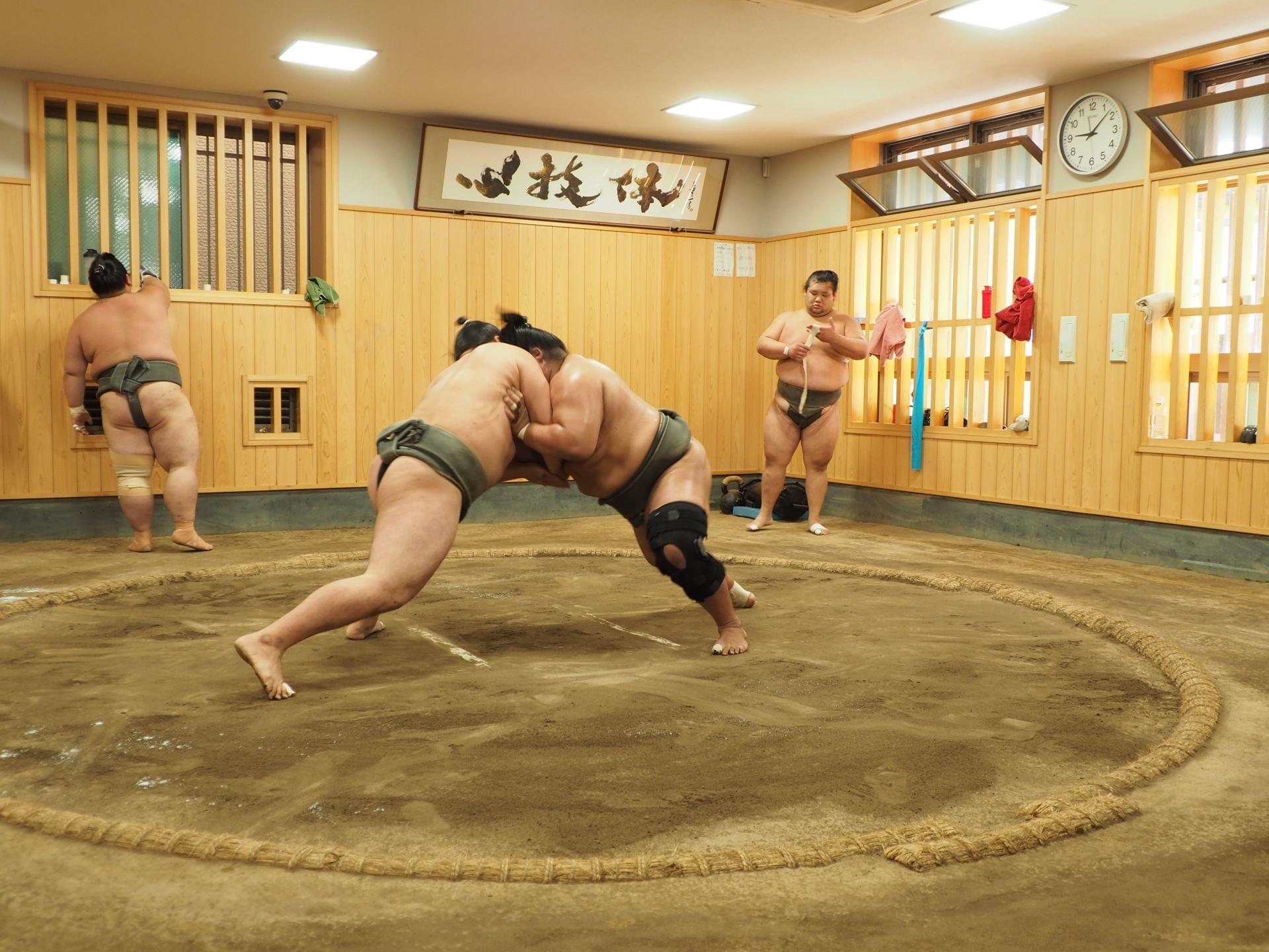 Visit the sumo stables