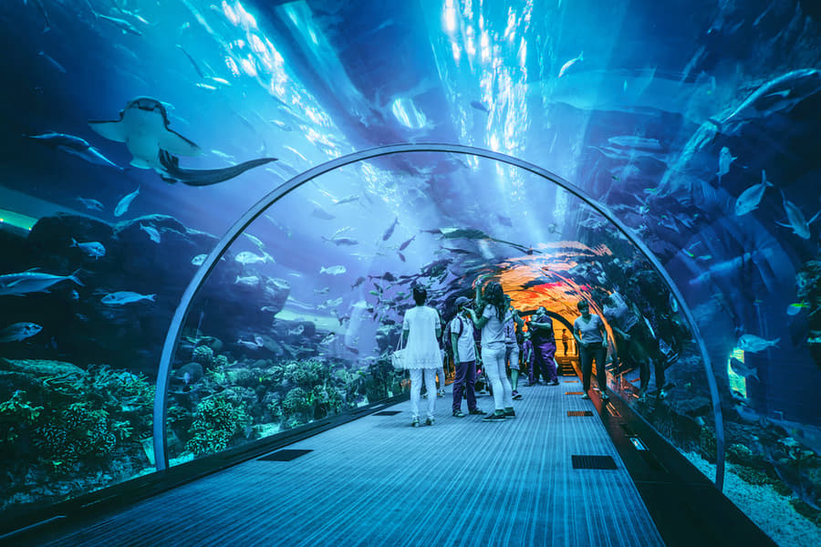 Sky View and Dubai Mall Aquarium Tickets Image