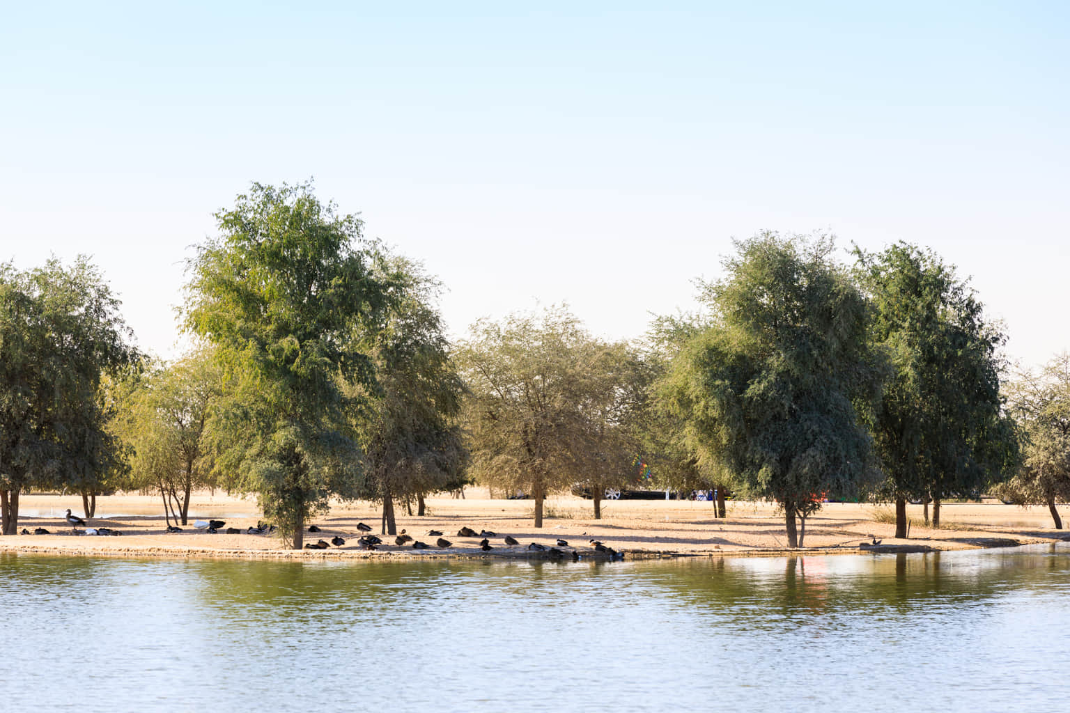 Al Qudra Lake Dubai, <em>Dubai</em>