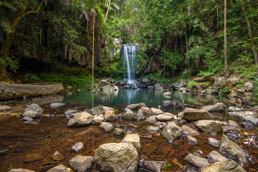 Mt Tamborine Rainforest And Glowworm Tour Gold Coast Image