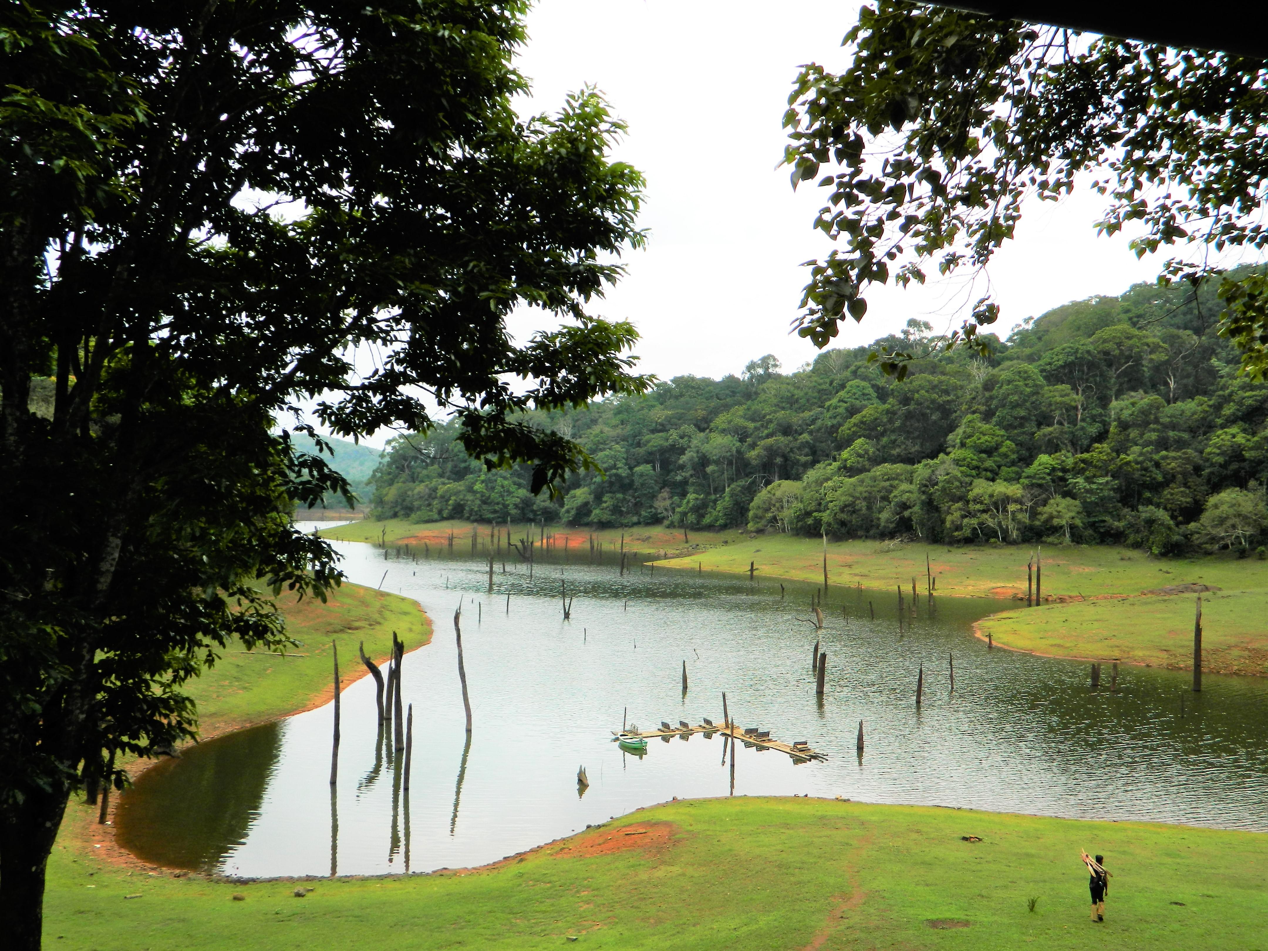 Periyar National Park How To Reach Best Time And Tips