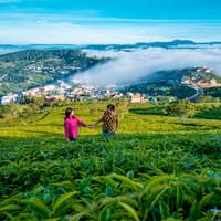 south-india-special-from-lush-beauty-of-kerala-to-the-temples-of-tamil-nadu