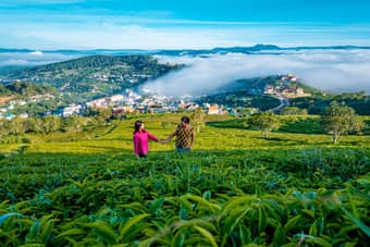Couple walking in the lush tea estates