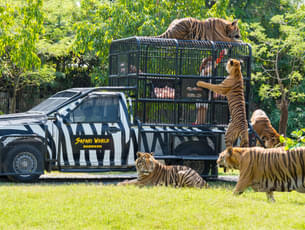 Step into the incredible world of Safari World in Bangkok.