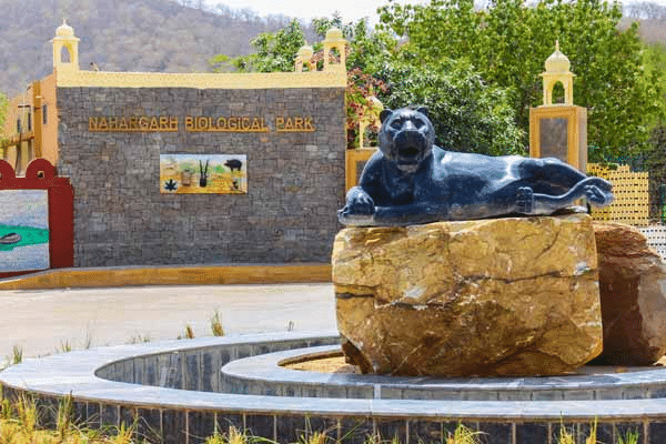 Discover the Wildlife at Nahargarh Biological Park