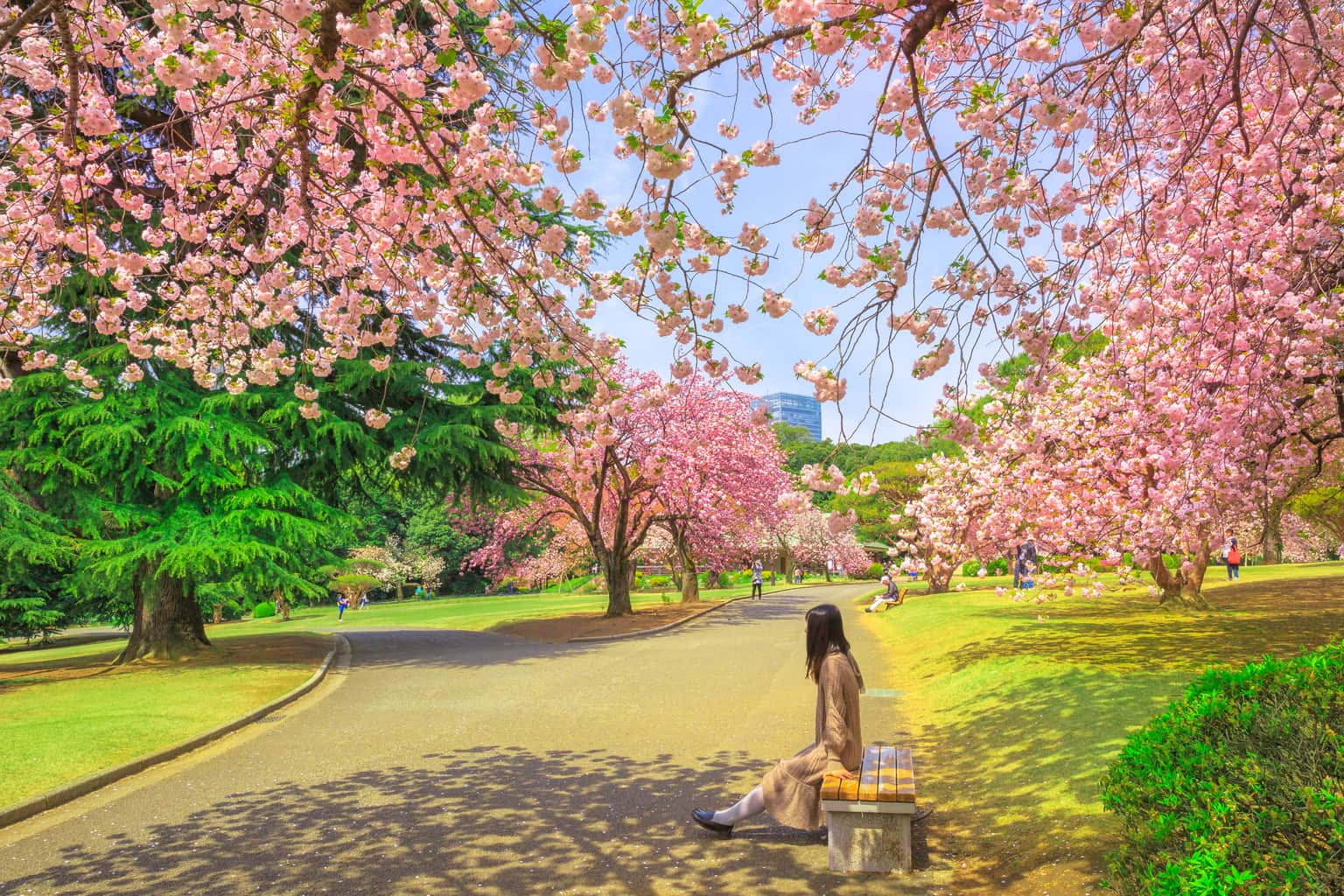 Shinjuku Gyoen Park, Tokyo