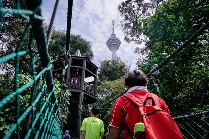 Small Hikes at KL Forest Eco Park.jpg