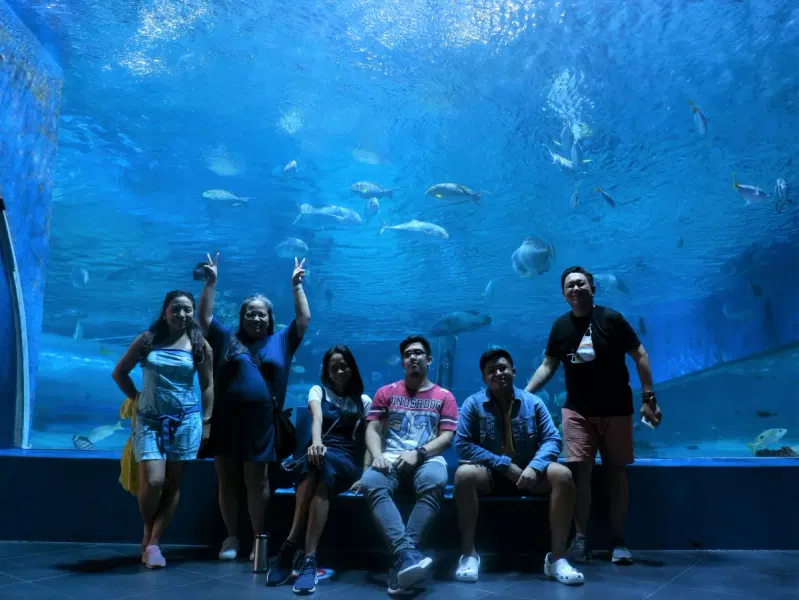 Manila Ocean Park Tickets Image