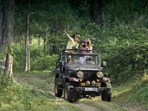 Mandalpatti Jeep Safari, Coorg