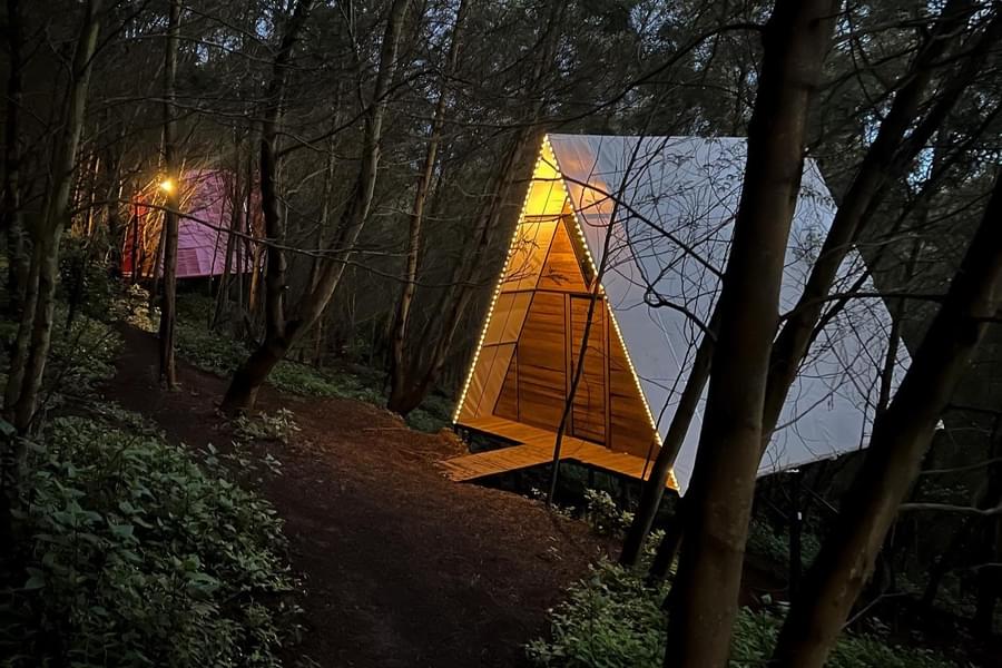 Jungle Camping in Ooty Image