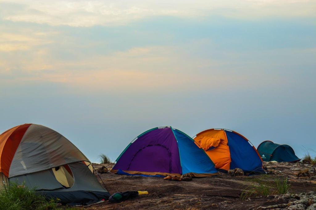 Enjoy a peaceful camping in Wayanad