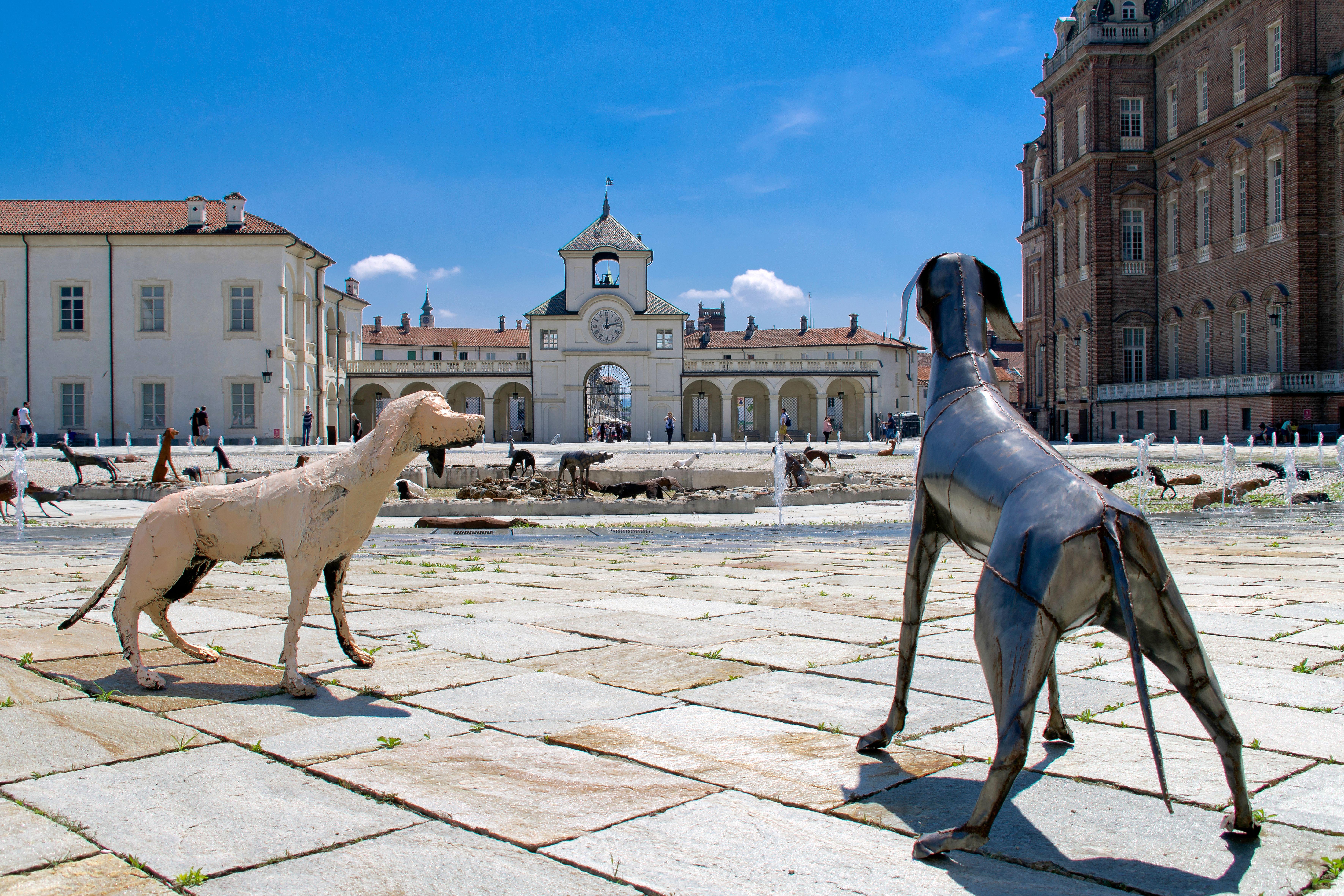 Explore Venaria Reale Masterpiece