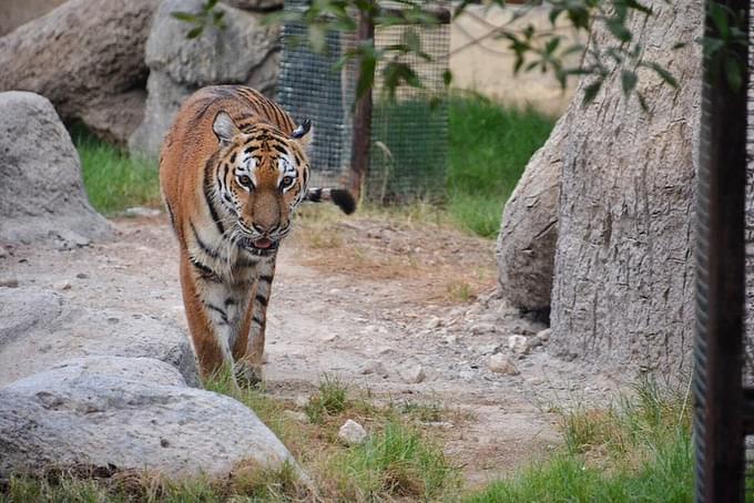 Emirates Park Zoo