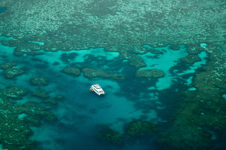 Green Island Tour By Catamaran Image