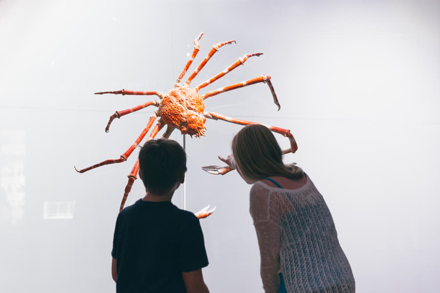 Royal Ontario Museum Tickets Image