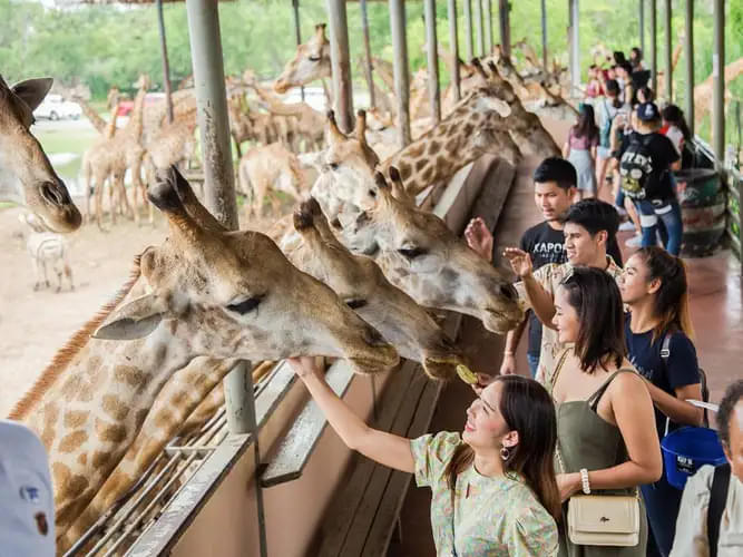 Animal Encounters at Safari World