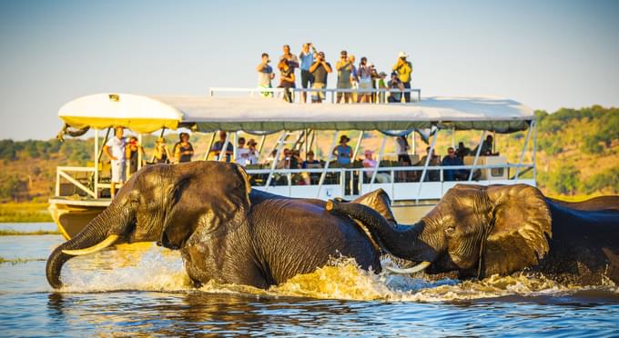 Chobe National Park, Botswana.jpg