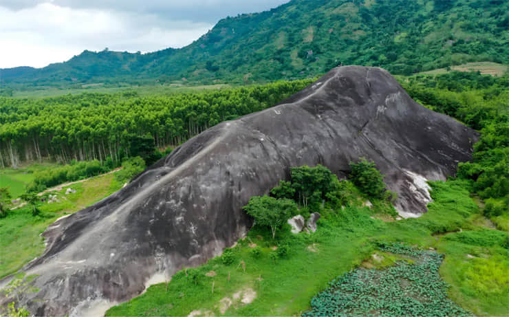 Zip, Cycle, and Dine Under the Stars at Elephant Rock Hill