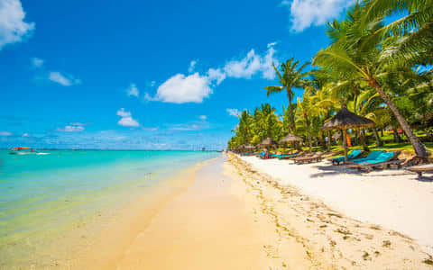 Things to do in <em>Trou-aux-Biches</em>