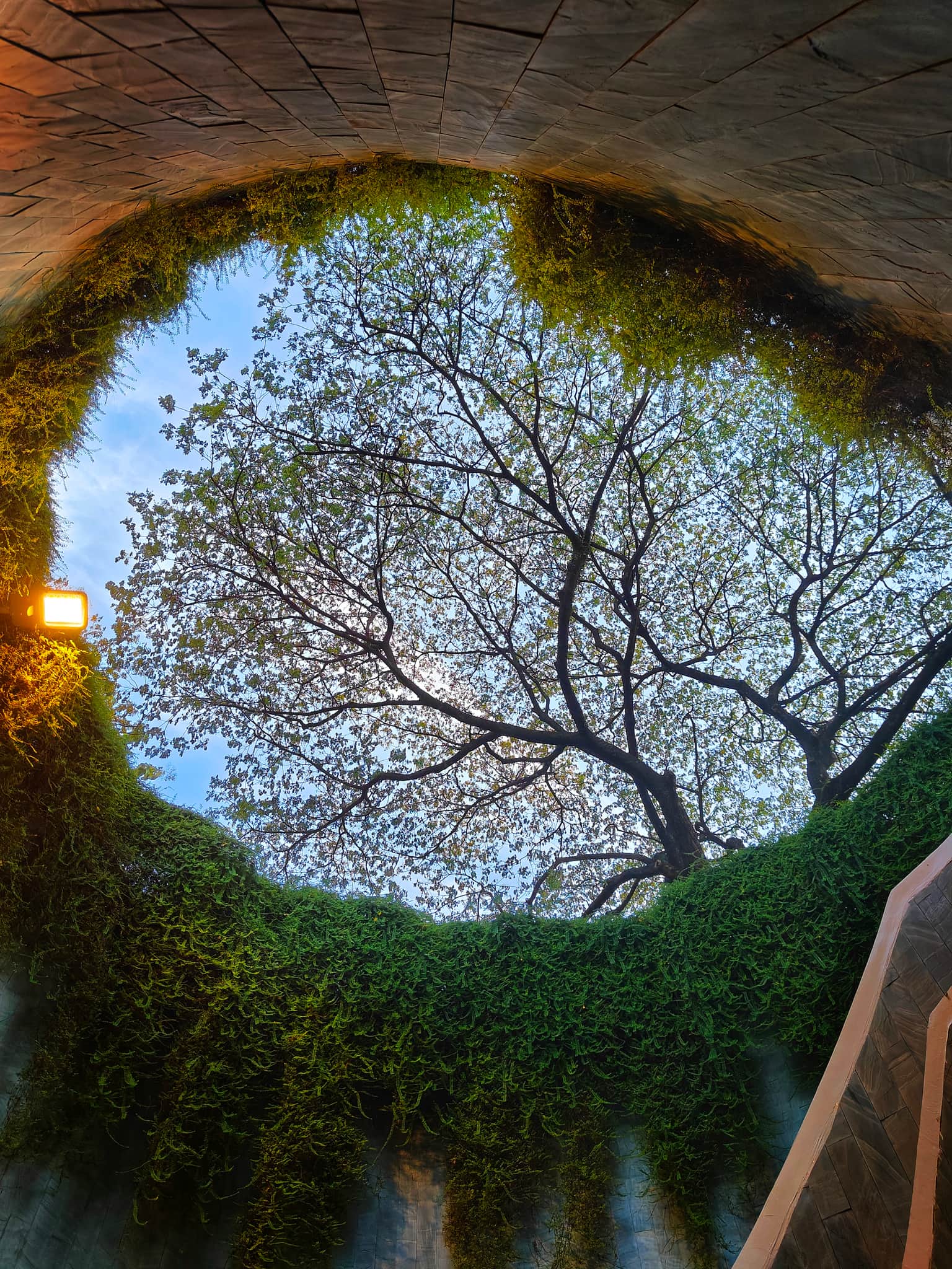 Photo from Ravi Kose's trip